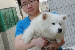 【lol】赏金术士直播近期安排时间表