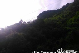 【闲聊】连续阴雨连绵的天气过去了,大清早晒晒太阳。人都清爽多了