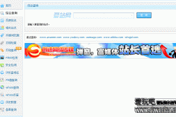 【源码】仿爱站站长查询工具网源码