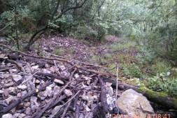 【资讯】兴山县下雨引起山崩落石视频图片资料