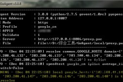 【教程】上网必备神器Goagent V3.1.16